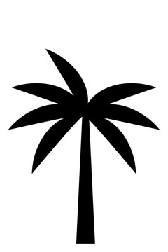 Black palm tree silhouette with fronds and trunk, tropical beach icon, monochrome vector graphic isolated on white background. High res PNG