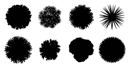 Overhead view tree silhouettes for architectural illustration © Pixel Stock