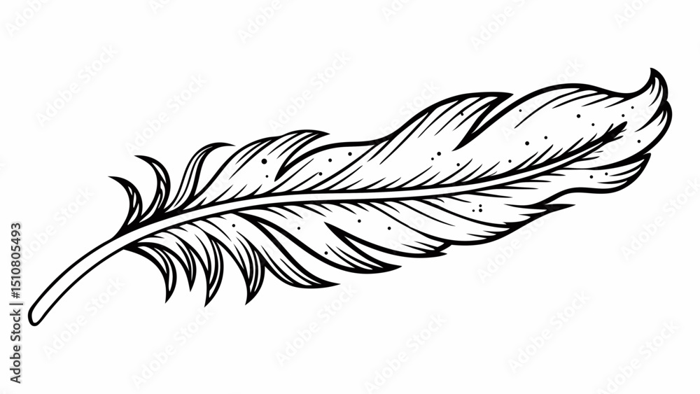 Poster detailed line art illustration of a feather with intricate patterns and small dots scattered around 