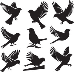 Set of flying bird silhouettes in various poses and species