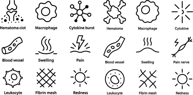 Medical icons set for inflammation and cellular response illustration