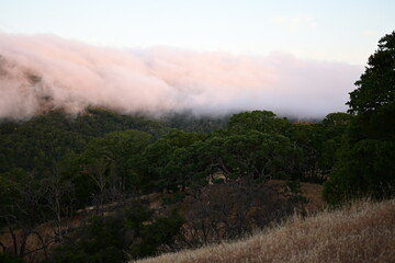 Blanket of fog rolling over a mountain ridge at sunrise