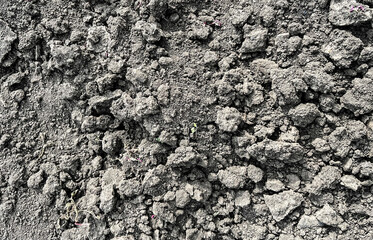 Loose garden soil with small clumps, ready for planting. Fertile earth background for agriculture, gardening, and organic farming themes.
