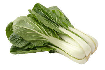 Fresh Bok Choy Vegetable Ready for Cooking Isolated on Transparent Background