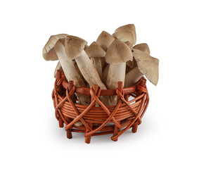 Termite mushrooms isolated on white background with clipping path,Teratophilia ,Termitomyces fuliginosus Heim, Edible thai mushroom.