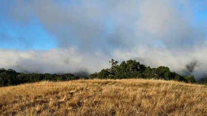 Blanket of fog rolling over a mountain ridge at sunrise