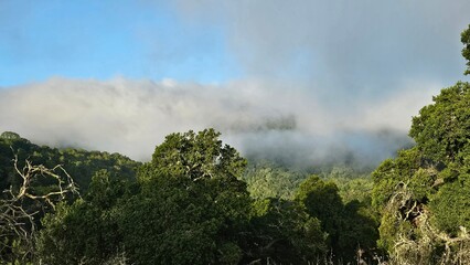 Blanket of fog rolling over a mountain ridge at sunrise