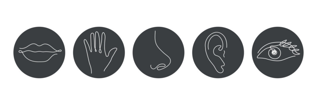 Five human senses one line drawing in circle. Touch, smell, taste, look, hear icon. Set of 5 types feelings. Vector illustration	