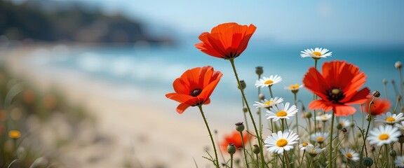 Obraz premium Close-Up of Red Poppies and White Daisies by the Beach – Softly Lit Floral Scene with Ocean Background and Shallow Depth of Field