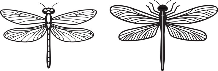 Dragonfly Line Art Clipart. Hand Drawn Insect Illustration with Detailed Wings for Nature, Tattoo, or Decorative Designs