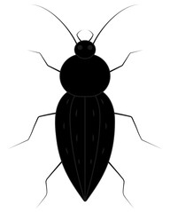 Common ground beetle. Top view. Silhouette. Insect with antennae, jaws and long limbs. Vector illustration. Isolated white background. Garden beetle. Cartoon.