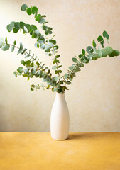 Decorative branches of eucalyptus in a white vase. Natural blue-green eucalyptus branches in a modern vase on a beige-yellow background. Decoration for the home interior.
