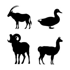 Silhouette illustration featuring an oryx, a duck, a ram, and a llama in a simple composition