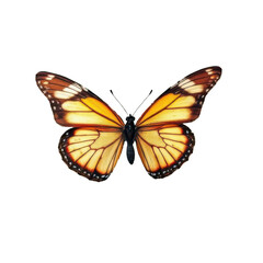 Fototapeta premium butterfly insect flying isolated for background - ai generated