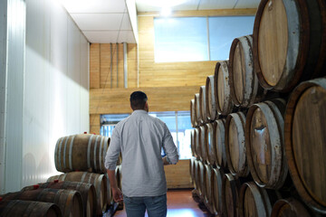 Professional man winemaker working and inspecting wine quality in cellar with wooden barrel in...