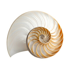 Nautilus Shell Golden Ratio Natural Beauty and Marine Life, isolated transparent background Png, AI Generative
