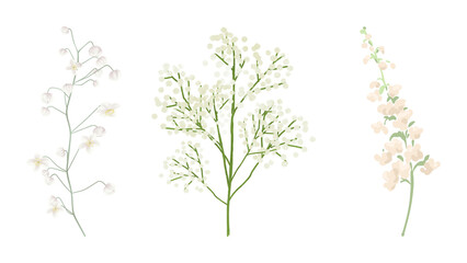white flowers with branch