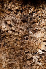 Close-up of wood texture. Texture and details of broken wood. Different decorative lines and cracks