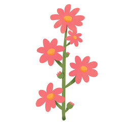 Pink Daisy