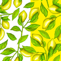 Bright seamless vector pattern with lemons and green leaves. Perfect for summer packaging, textiles, wallpapers, and fresh branding.