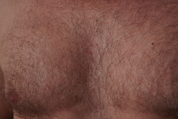 Hairy chest of an adult man. Detailed close-up of a hairy chest of an adult man. The image...