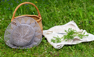 Cleavers plant freshly harvested in backyard garden, placed on linen cloth with scissors, wicker basket and straw hat nearby, seasonal wild herb picking, natural lifestyle, spring countryside