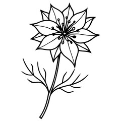 black and white flower