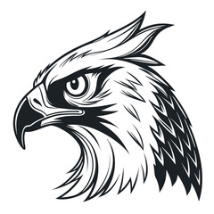 angry owl on a black background vector illustration.
