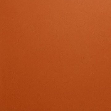 Trendy color wall, Earthy Terracotta.