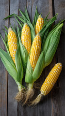 Fresh yellow corn on rustic wooden surface with green husks
