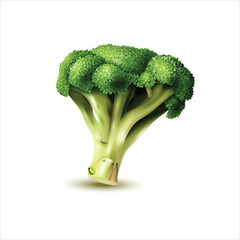 Fresh broccoli isolated on white background