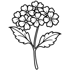 black and white flower