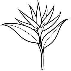 silhouette of a tree