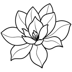 Obraz premium vector illustration of a lotus flower