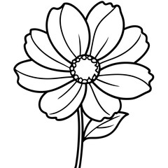black and white flower