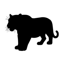 silhouette of a tiger