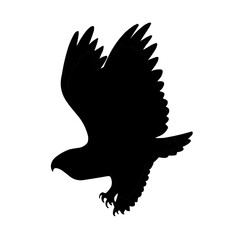 eagle vector illustration