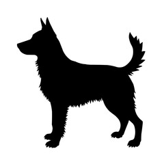 black dog vector