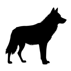 wolf vector illustration
