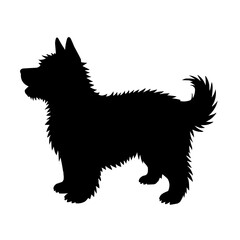 black dog vector illustration