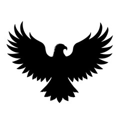 eagle vector illustration