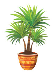 Obraz premium Ornamental dracaena plant
