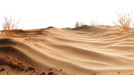 Sand dunes covering the arid desert landscape with transparent background