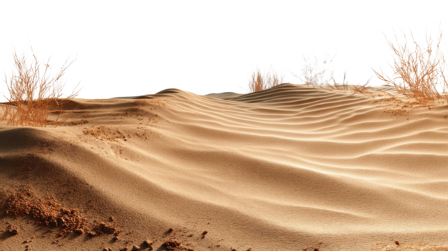 Sand dunes covering the arid desert landscape with transparent background