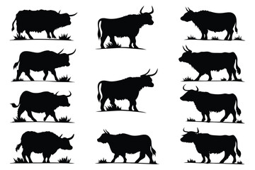 black and minimalist of-crazy scottish vector 