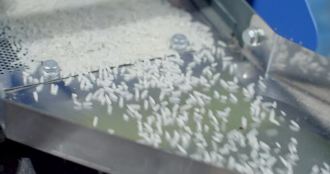 White rice that has gone through the milling process is flowing down.Close up.Milling your own rice is safer and the rice has a more fragrant aroma.Thai farmers like to milled for eating and sharing.