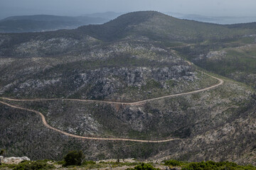 Photo shows a burnt mountain with a dirt road crossing it between burnt tree trunks.