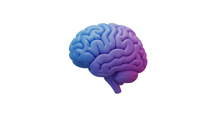 A vibrant human brain glowing with intellect illuminated by futuristic neon gradients showing on transparent background