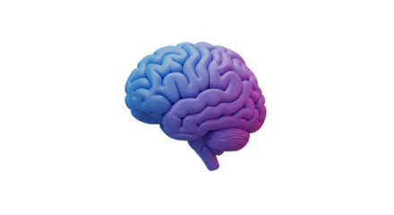 A vibrant human brain glowing with intellect illuminated by futuristic neon gradients showing on transparent background