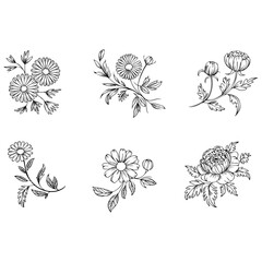 Fototapeta premium Floral Wreaths and Bouquets